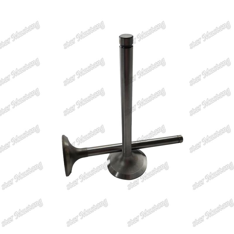 Valve EK100 EK130 EF750 13715-1060 13711-1450 Geschikt voor Hino motor reserveonderdelen