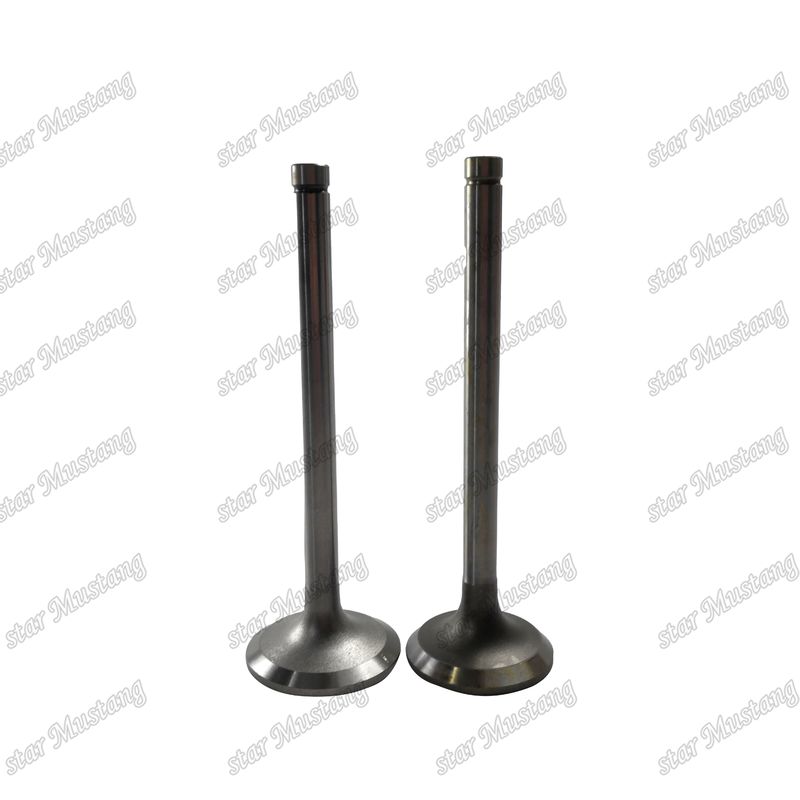 Valve EK100 EK130 EF750 13715-1060 13711-1450 Geschikt voor Hino motor reserveonderdelen