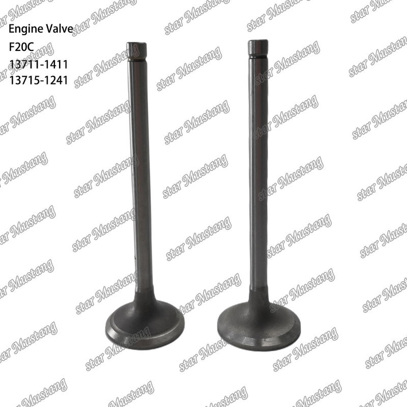 ENGINE VALVE F20C 13711-1411 13715-1241 Geschikt voor Hino motor reserveonderdelen