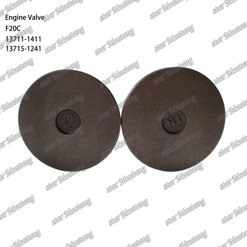 ENGINE VALVE F20C 13711-1411 13715-1241 Geschikt voor Hino motor reserveonderdelen
