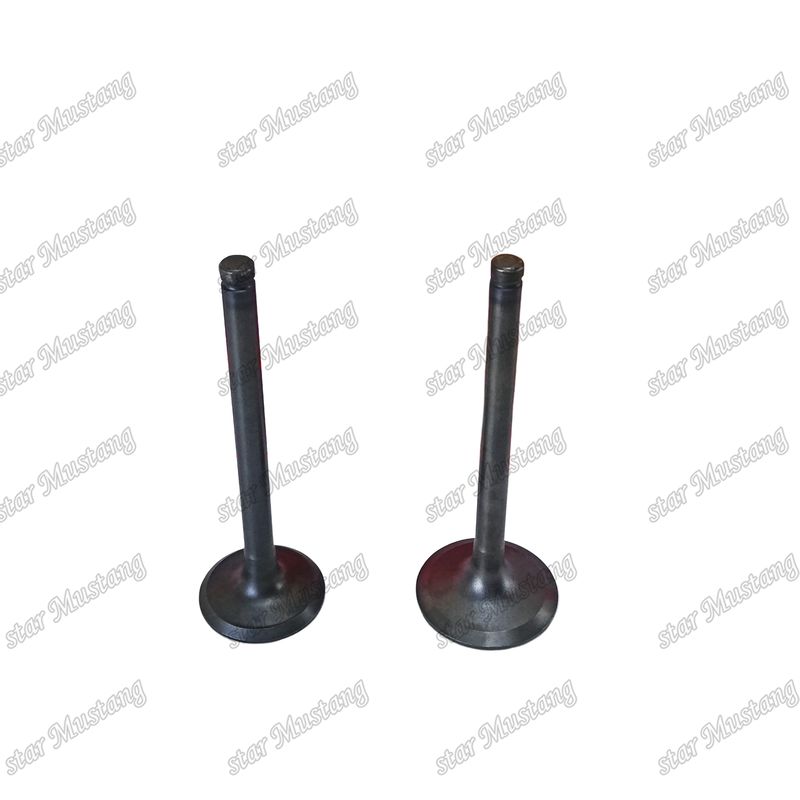 Hino motor reserveonderdelen W04D IN 13711-1430 EX 13715-1260 Valve voor dieselwagens