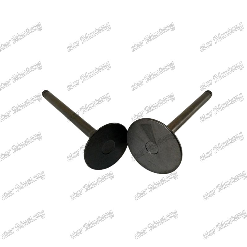 Hino motor reserveonderdelen W04D IN 13711-1430 EX 13715-1260 Valve voor dieselwagens