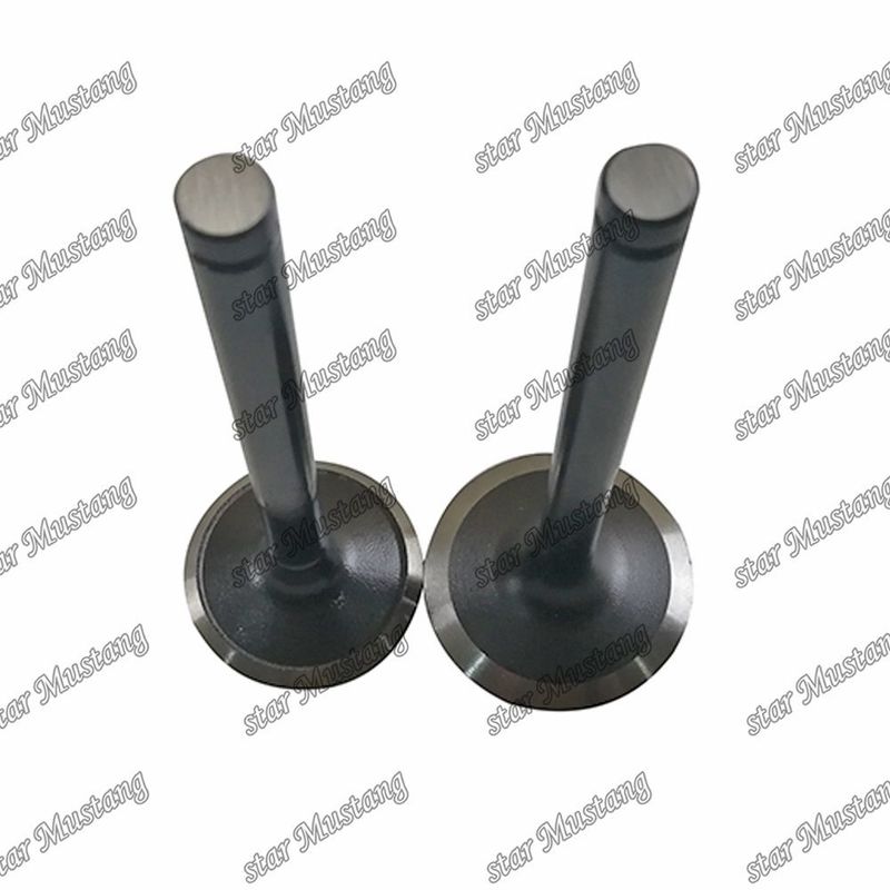 Valve W06D W06E 13711-1521 13715-1570 Geschikt voor Hino motor reserveonderdelen