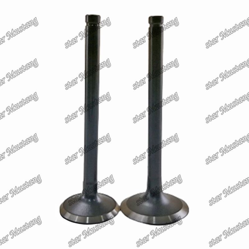 Valve W06D W06E 13711-1521 13715-1570 Geschikt voor Hino motor reserveonderdelen