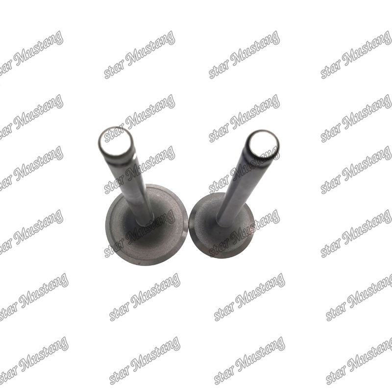 ENGINE Valve DB33 65.02500-0001 65.02500-0002 Geschikt voor Doosan motor onderdelen