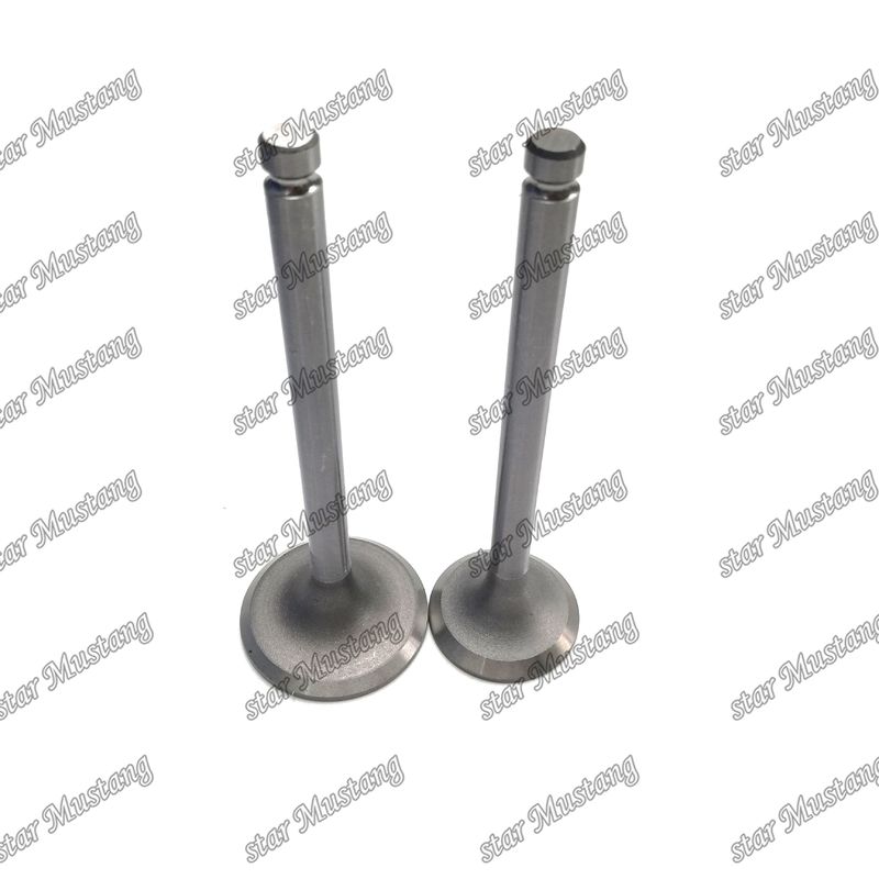 ENGINE Valve DB33 65.02500-0001 65.02500-0002 Geschikt voor Doosan motor onderdelen