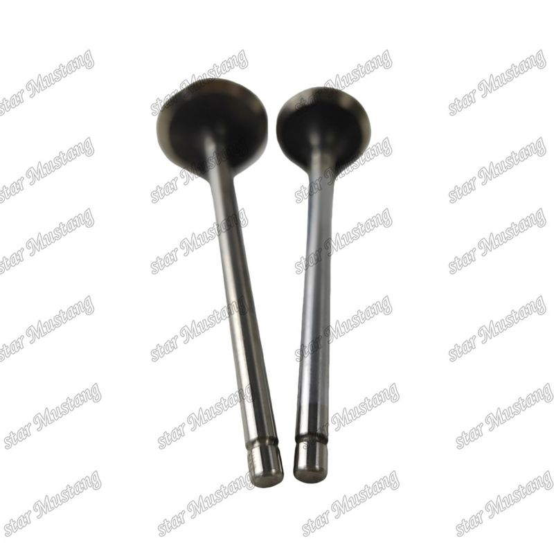 Valve QSF2.8 IN 5261320 EX 5256949 Geschikt voor Cummins motor onderdelen