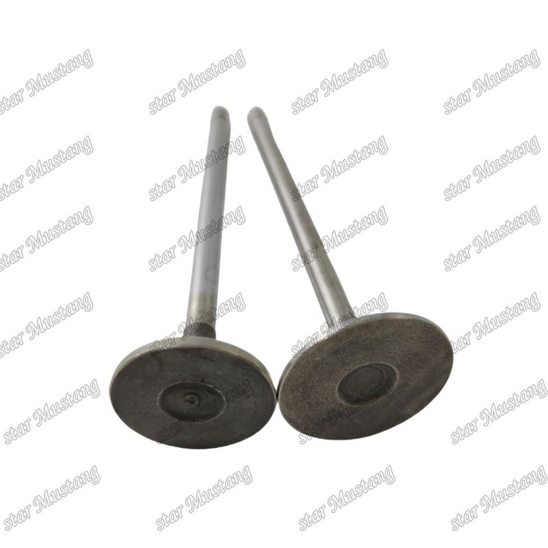 Valve QSF2.8 IN 5261320 EX 5256949 Geschikt voor Cummins motor onderdelen