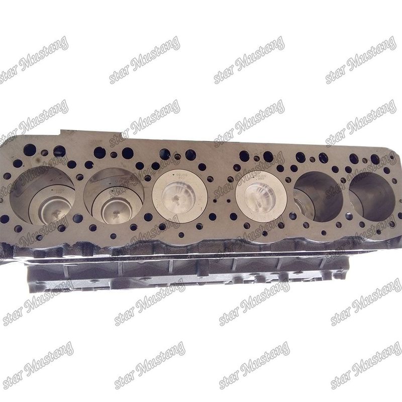 Integral Structure Short Block S6K 5I7613 34307-01010 Dieselmotoronderdeel voor prestaties en 6 maanden