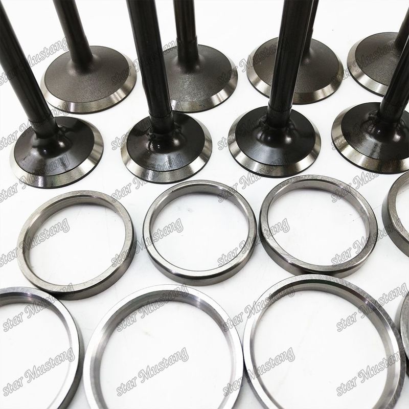 Valve Valve Seat Valve Guide 6D16T ME031014 ME031015 ME041131 ME031936 ME031888 Motordeel met integrale structuur en 6 maanden