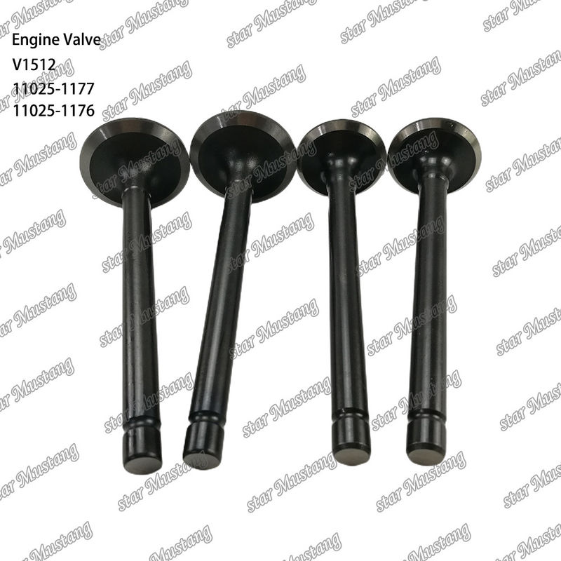 Dieselmotor onderdeel originele voorraad integrale structuur klep V1512 11025-1177 11025-1176 Met online ondersteuning na