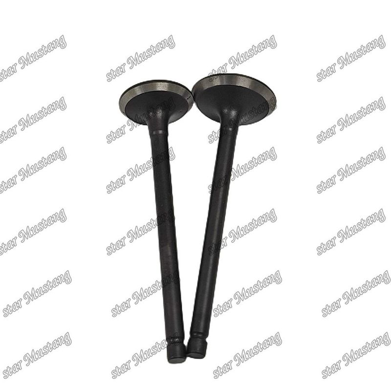 Integral Structure Valve V2403 Dieselmotor Onderdeel Original Stock met Online Support Na