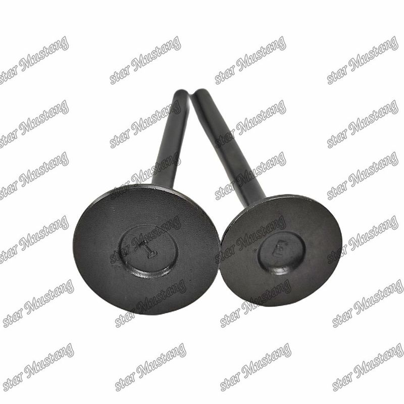 Integral Structure Valve V2403 Dieselmotor Onderdeel Original Stock met Online Support Na