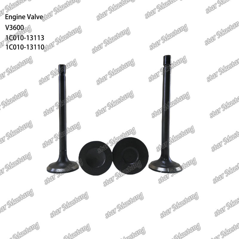 Dieselmotoronderdeel Original Stock Integral Structure Valve V3600 1C010-13113 1C010-13110 Met online ondersteuning na