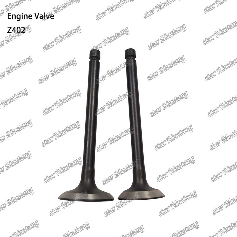 Dieselmotor Deel Z402 Integral Structure Valve Stock Status met online ondersteuning Na