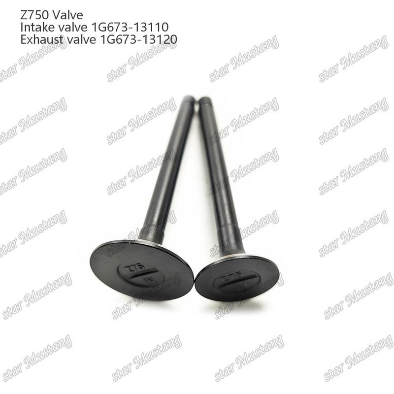 Integral Structure Valve Z750 1G673-13110 1G673-13120 Dieselmotor Onderdeel Original Stock met Online Support Na