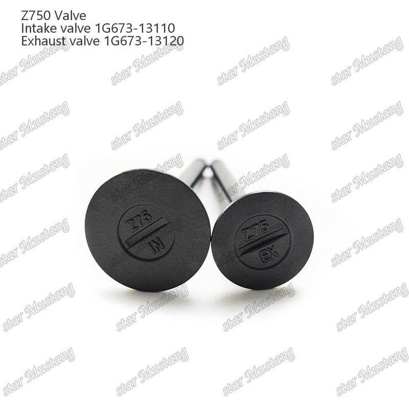 Integral Structure Valve Z750 1G673-13110 1G673-13120 Dieselmotor Onderdeel Original Stock met Online Support Na