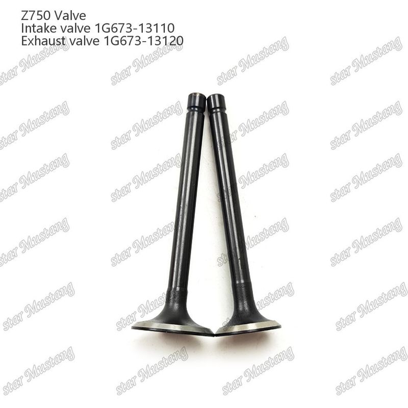 Integral Structure Valve Z750 1G673-13110 1G673-13120 Dieselmotor Onderdeel Original Stock met Online Support Na
