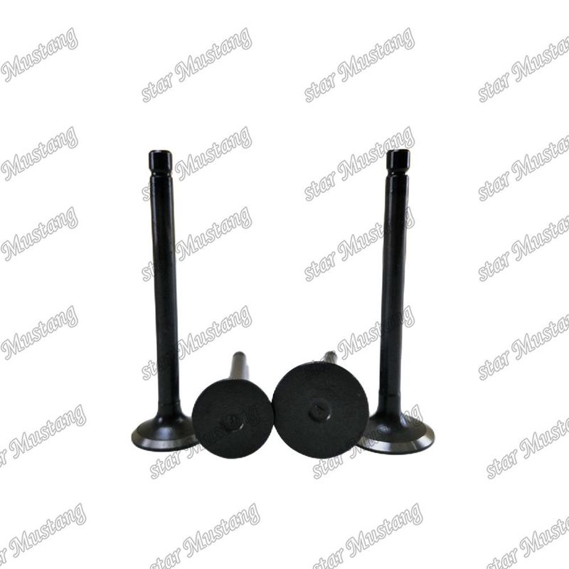 Integral Structure Valve Z751 DH1101 D1102 D1301 D1302 D1402 V1501 V1702 V1902 S2600 S2800 IN 15221-13110 EX 15221-13120 Dieselmotor onderdeel Original Stock met online ondersteuning