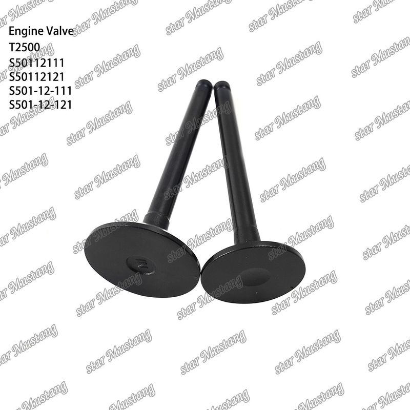 Integral Structure Valve T2500 S50112111 S50112121 S501-12-111 S501-12-121 Dieselmotor Onderdeel Originele voorraad met online ondersteuning Na