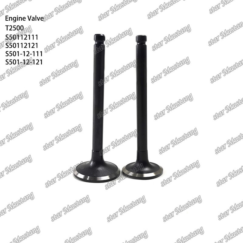 Integral Structure Valve T2500 S50112111 S50112121 S501-12-111 S501-12-121 Dieselmotor Onderdeel Originele voorraad met online ondersteuning Na