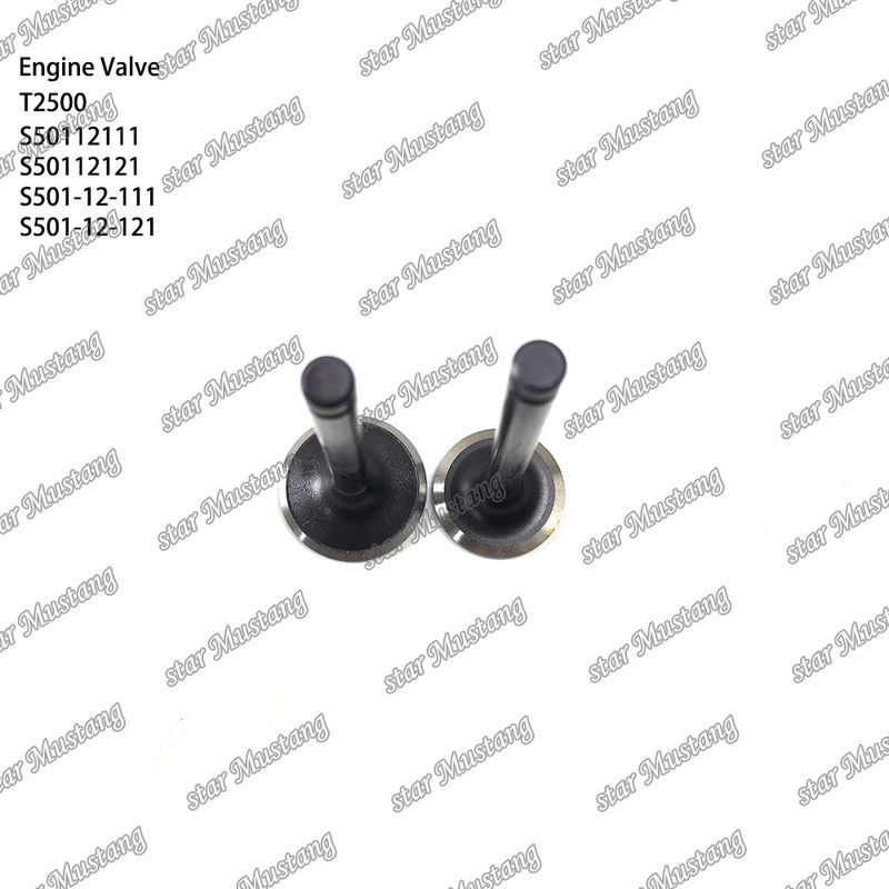 Integral Structure Valve T2500 S50112111 S50112121 S501-12-111 S501-12-121 Dieselmotor Onderdeel Originele voorraad met online ondersteuning Na