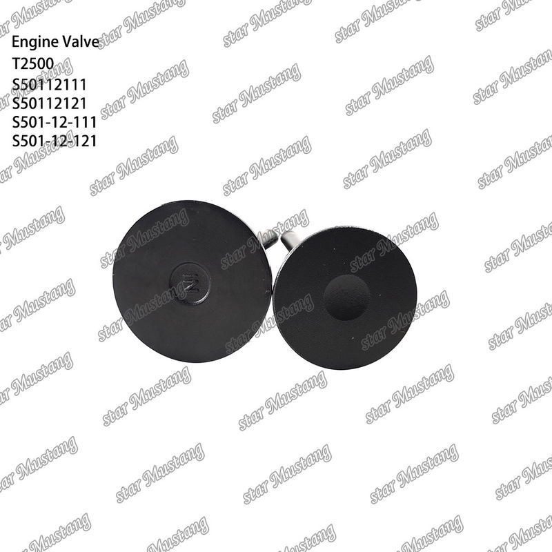 Integral Structure Valve T2500 S50112111 S50112121 S501-12-111 S501-12-121 Dieselmotor Onderdeel Originele voorraad met online ondersteuning Na