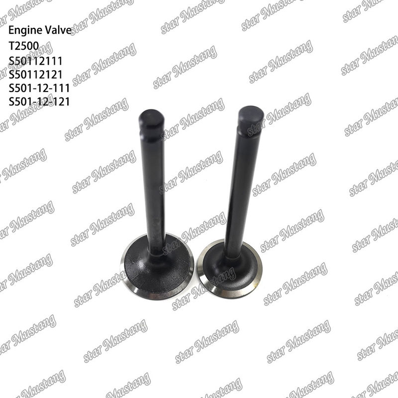 Integral Structure Valve T2500 S50112111 S50112121 S501-12-111 S501-12-121 Dieselmotor Onderdeel Originele voorraad met online ondersteuning Na