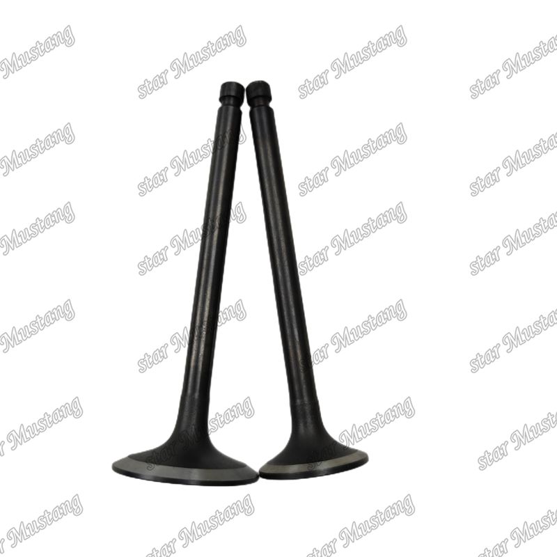 Integral Structure Valve 4DQ5 32C04-00100