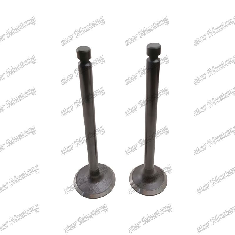 Integral Structure Valve 6D24 ME051063 ME051064 Dieselmotor Onderdeel Original Stock met Online Support Na