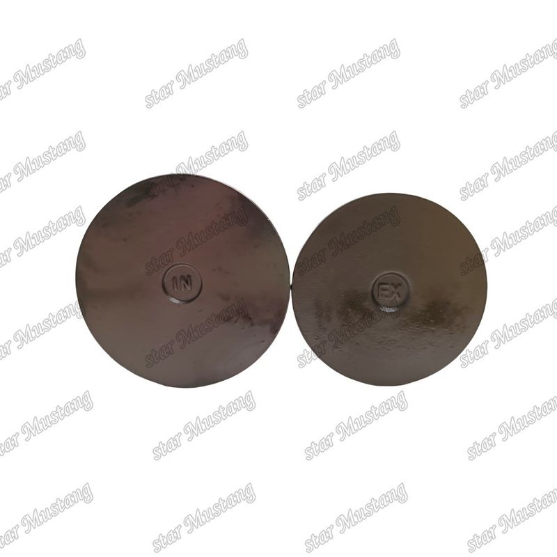Integral Structure Valve 6D24 ME051063 ME051064 Dieselmotor Onderdeel Original Stock met Online Support Na