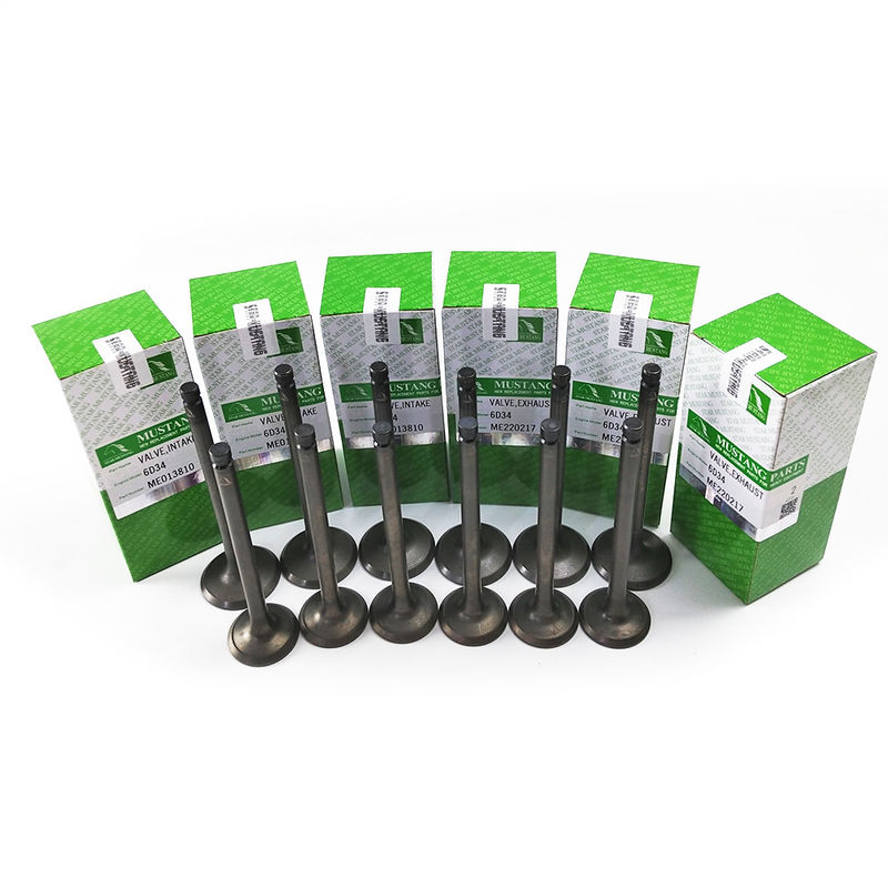 Integral Structure Valve 6D34 ME013810 ME220217 Dieselmotor Onderdeel Originele voorraad met online ondersteuning Na