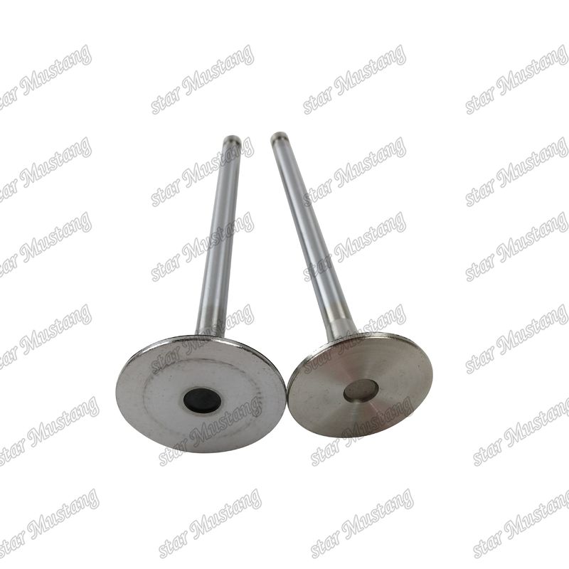 Integral Structure Valve 6M61 ME240748 ME133270 Dieselmotor Onderdeel Original Stock met Online Support Na