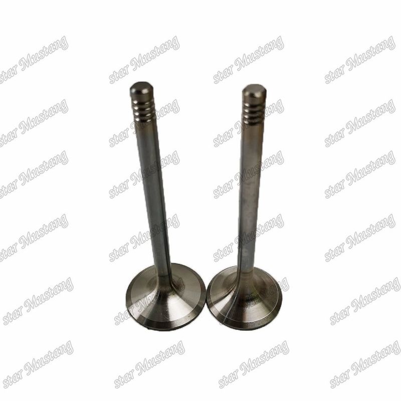 Integral Structure Valve D924 9279578 9279579 Dieselmotor Onderdeel Original Stock met Online Support Na
