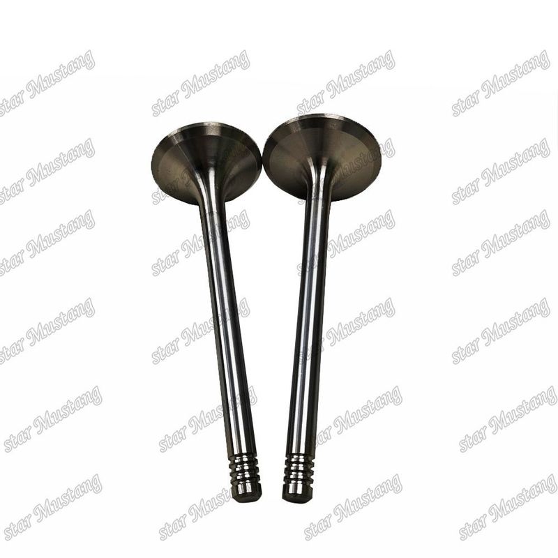Integral Structure Valve D924 9279578 9279579 Dieselmotor Onderdeel Original Stock met Online Support Na