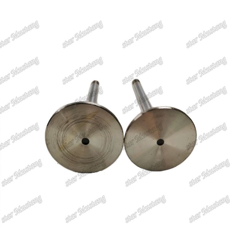 Integral Structure Valve D924 9279578 9279579 Dieselmotor Onderdeel Original Stock met Online Support Na
