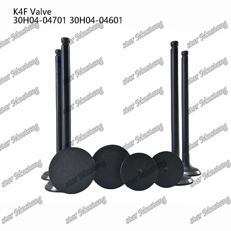 K4F 30H04-04701 30H04-04601 Dieselmotor Onderdeel Originele Voorraad met Online Ondersteuning Na