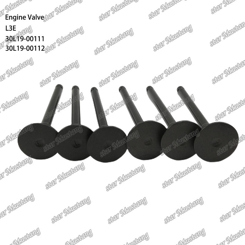 L3E 30L19-00111 30L19-00112 Dieselmotoronderdeel Originele voorraad met online ondersteuning na