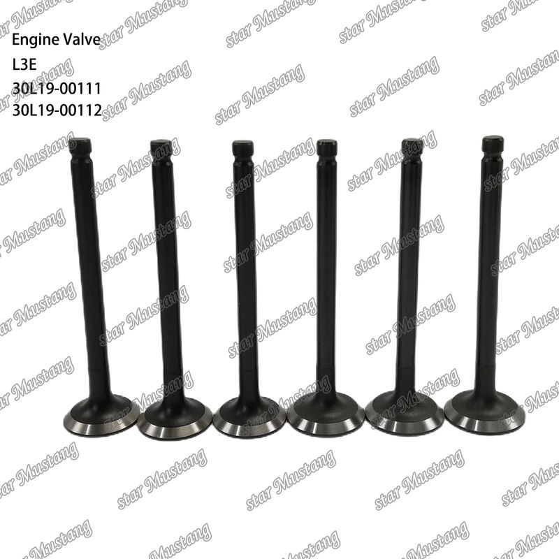L3E 30L19-00111 30L19-00112 Dieselmotoronderdeel Originele voorraad met online ondersteuning na