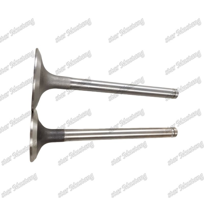 Integral Structure Valve 3142L072 3142A151Diesel motor onderdeel originele voorraad met online ondersteuning Na