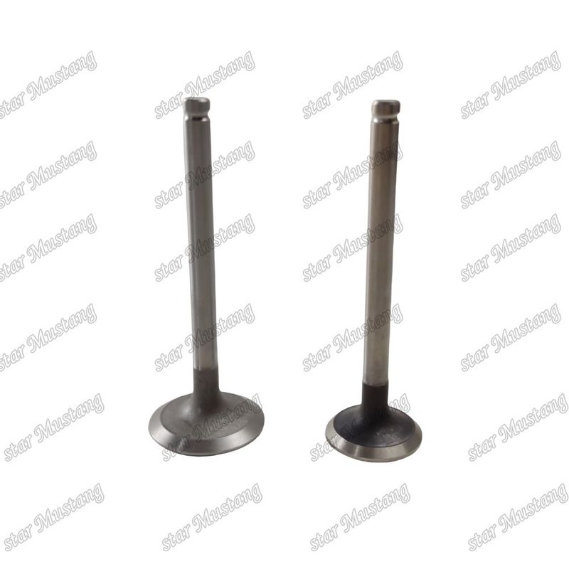 Integral Structure Valve 3142L072 3142A151Diesel motor onderdeel originele voorraad met online ondersteuning Na