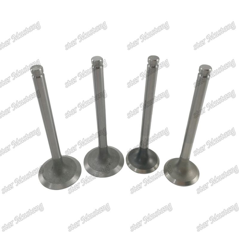Integraalstructuurklep 1004 3142L072 3142A051 Dieselmotoronderdeel Originele voorraad met online ondersteuning na