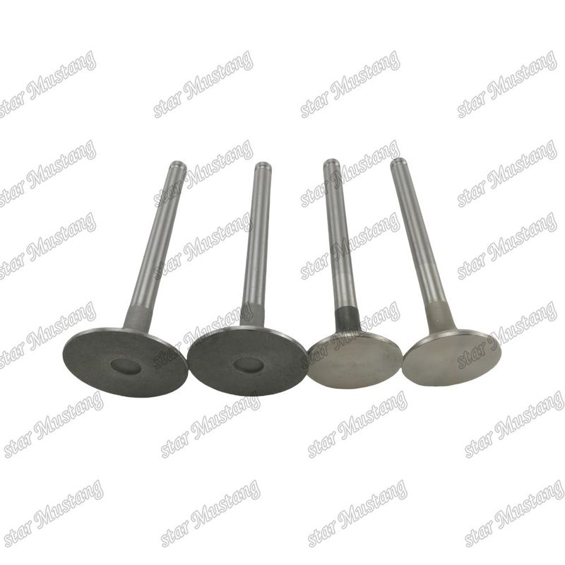 Integraalstructuurklep 1004 3142L072 3142A051 Dieselmotoronderdeel Originele voorraad met online ondersteuning na