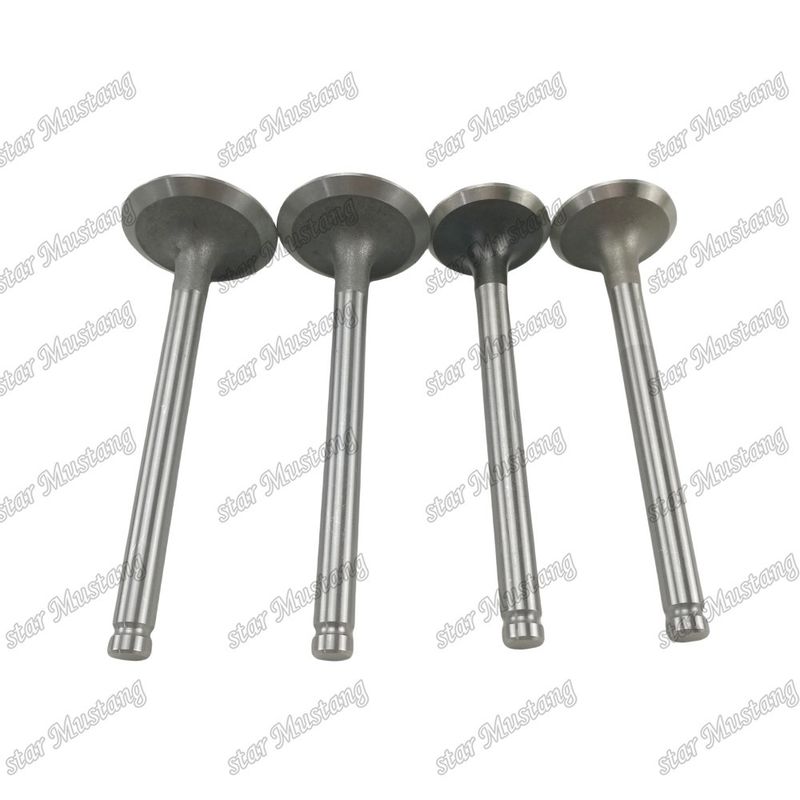 Integraalstructuurklep 1004 3142L072 3142A051 Dieselmotoronderdeel Originele voorraad met online ondersteuning na