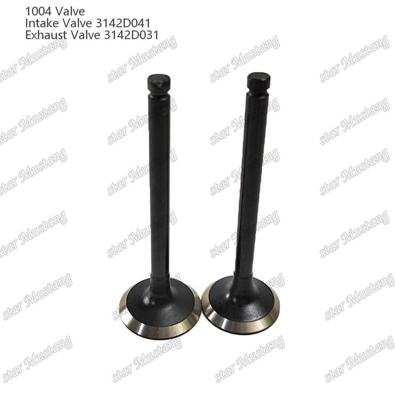 Integral Structure Valve 1004 3142D041 3142D031 Dieselmotor Onderdeel Originele voorraad met online ondersteuning Na