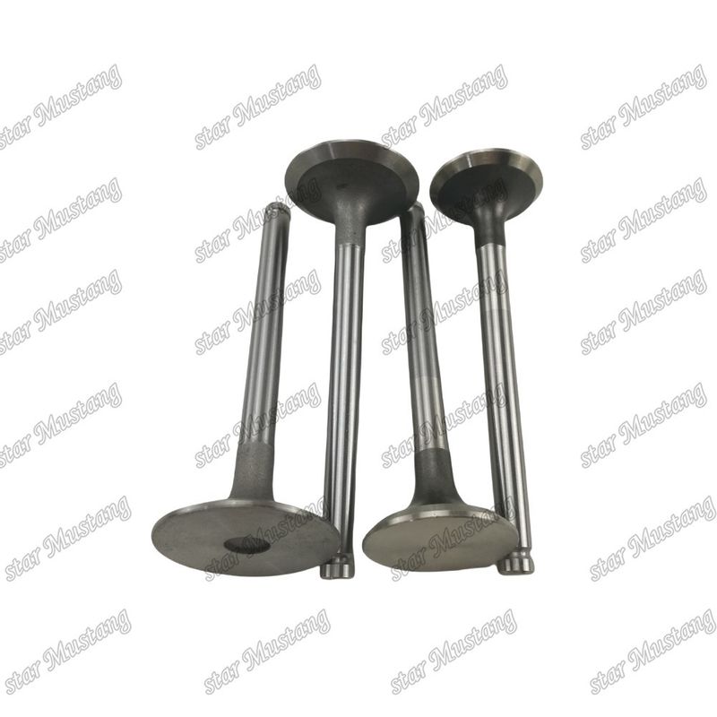 Integral Structure Valve 1004T 3142H002 3142A051 Dieselmotor Onderdeel Originele voorraad met online ondersteuning Na
