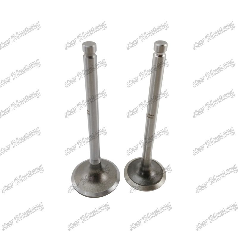 Integraalstructuurklep 1104C-44T 3142H071 3142A151 Dieselmotoronderdeel Originele voorraad met online ondersteuning na
