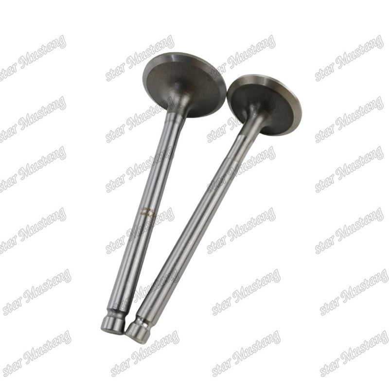 Integraalstructuurklep 1104C-44T 3142H071 3142A151 Dieselmotoronderdeel Originele voorraad met online ondersteuning na