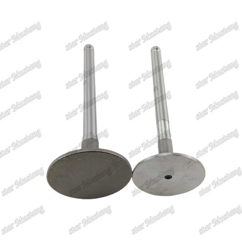 Integraalstructuurklep 1104C-44T 3142H071 3142A151 Dieselmotoronderdeel Originele voorraad met online ondersteuning na